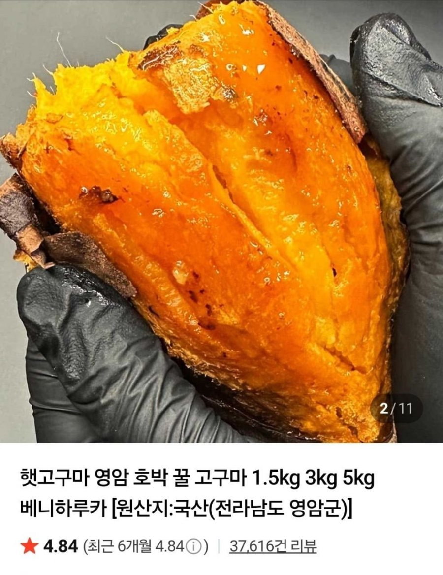 햇 호박고구마 1.5kg 한입 (2,900/네멤무료)