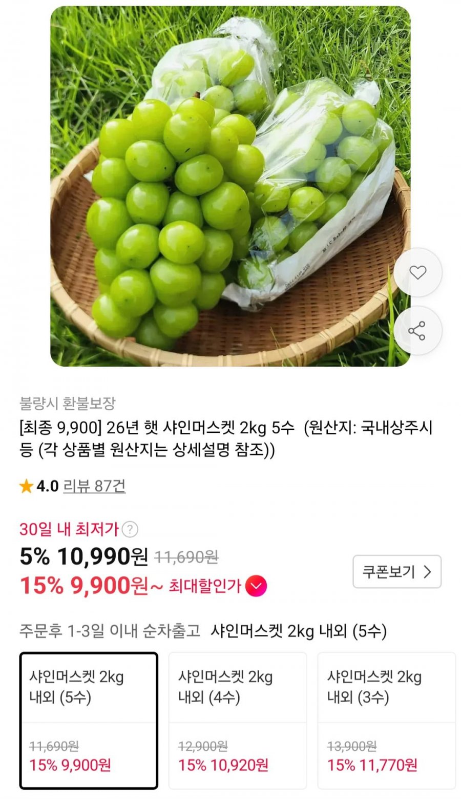 26년 햇 샤인머스켓 2kg 5수 (9,900원/무배)