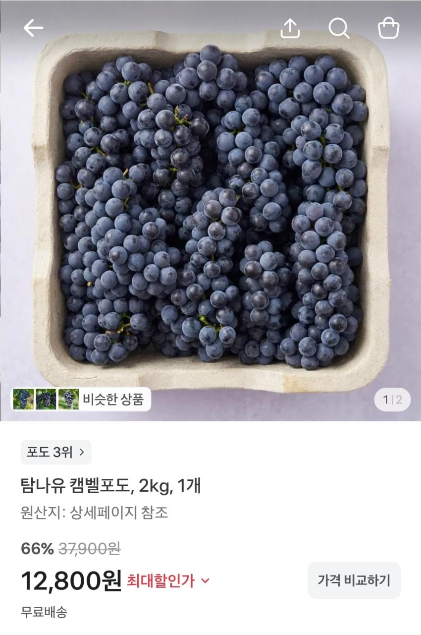 탐나유 캠벨포도 2kg, 12,800원