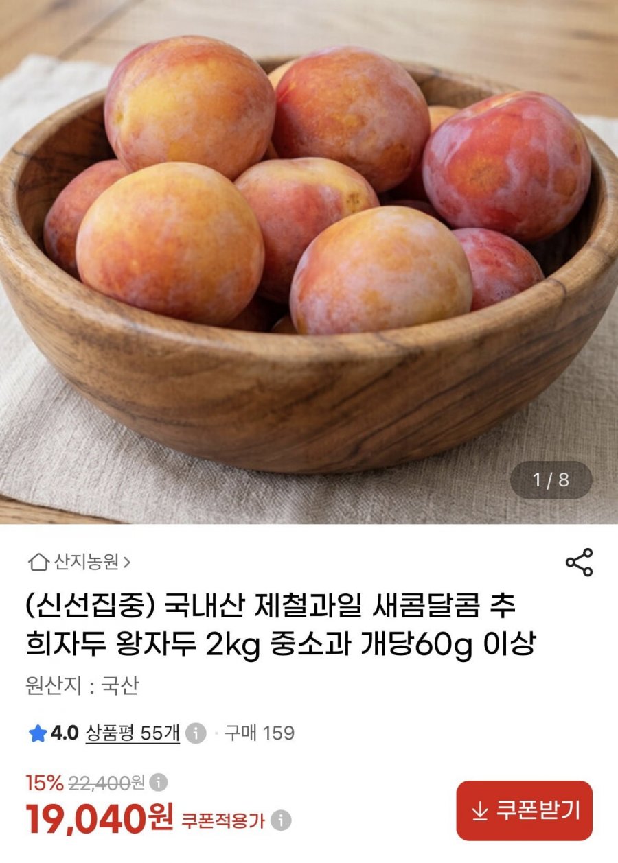 새콤달콤 추희자두 2kg (19,040원/무배)