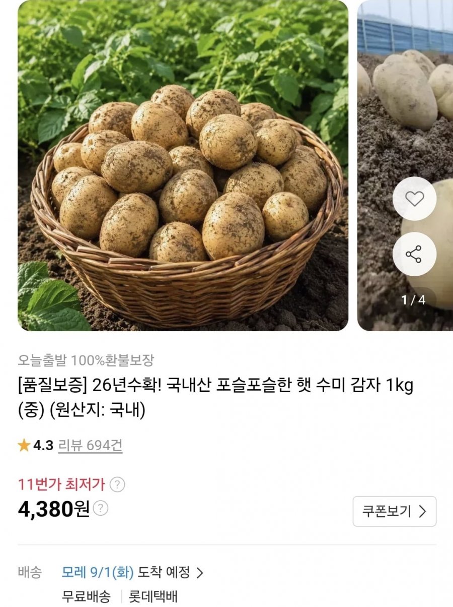 햇 수미감자 중 1kg(1,380원/무료)