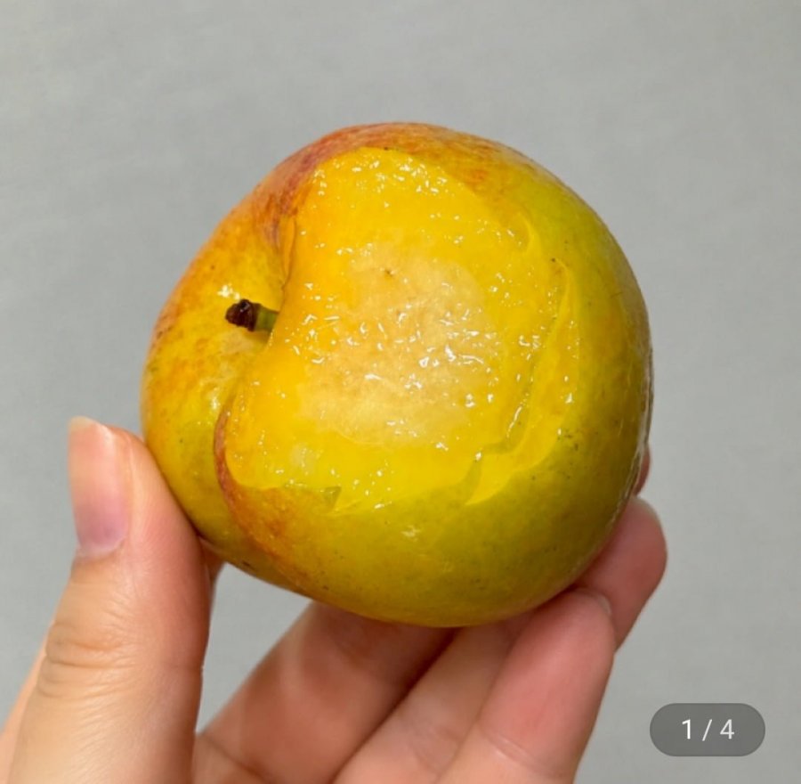국내산 아삭달콤 추희자두 대과 90g내외 1kg (22,470원/무료배송)
