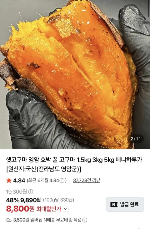 26년 햇 호박고구마 1.5kg 특상 3,900원