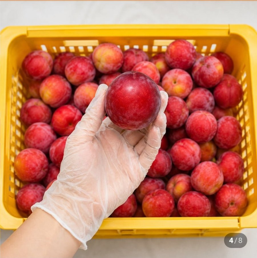 고당도 왕 추희 자두 2KG 특품 90g내외 (19,900원/무료배송)