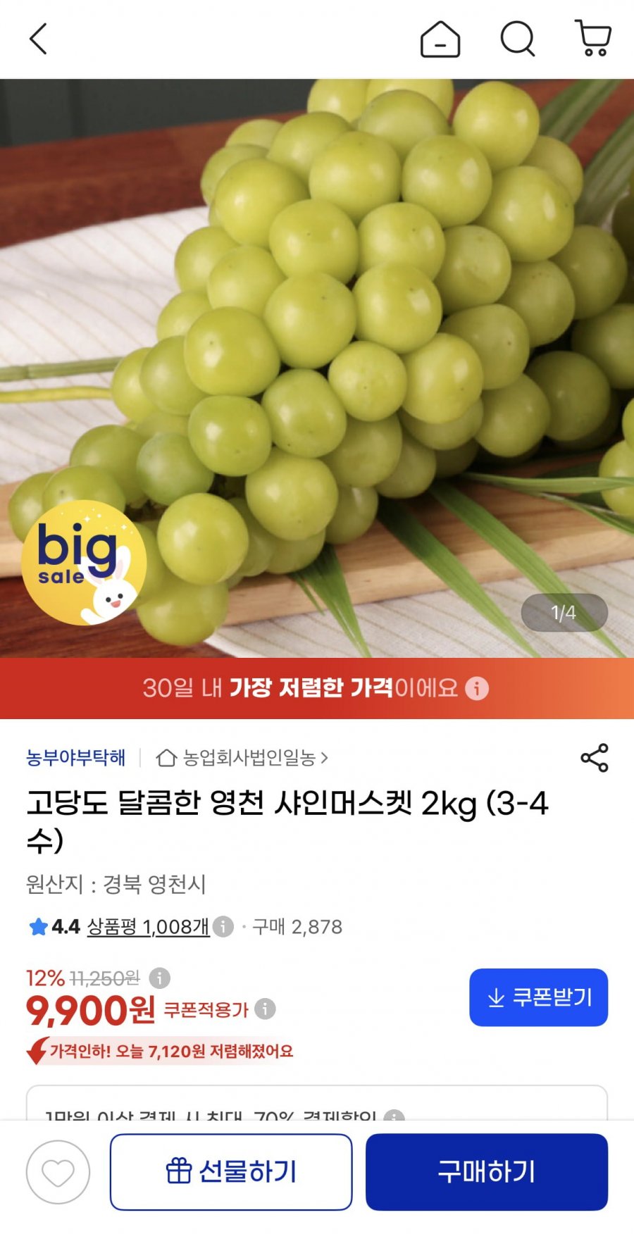 고당도 달콤한 영천 샤인머스켓 2kg (3-4수) (9,900원/무료)
