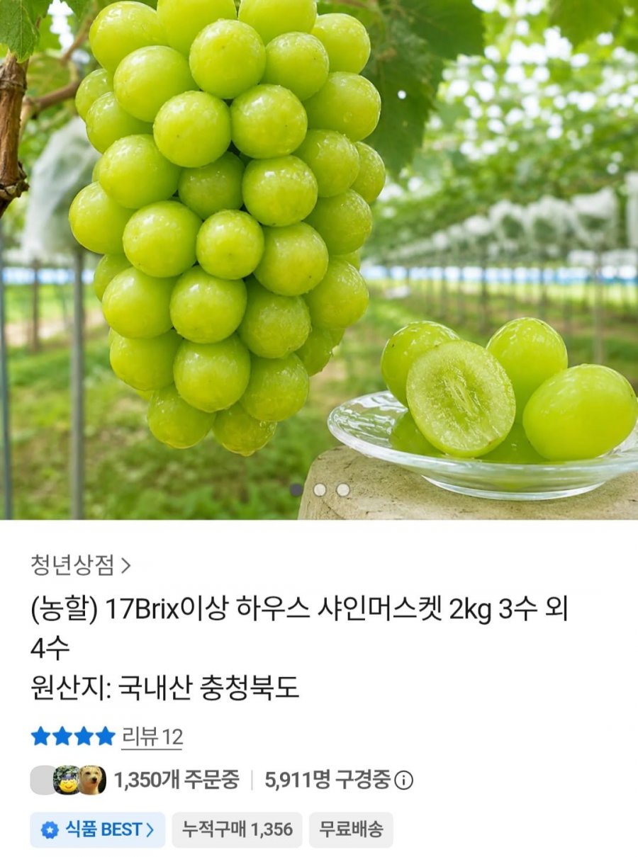 하우스 샤인머스켓 2kg 3수 (12,640원 / 무료)