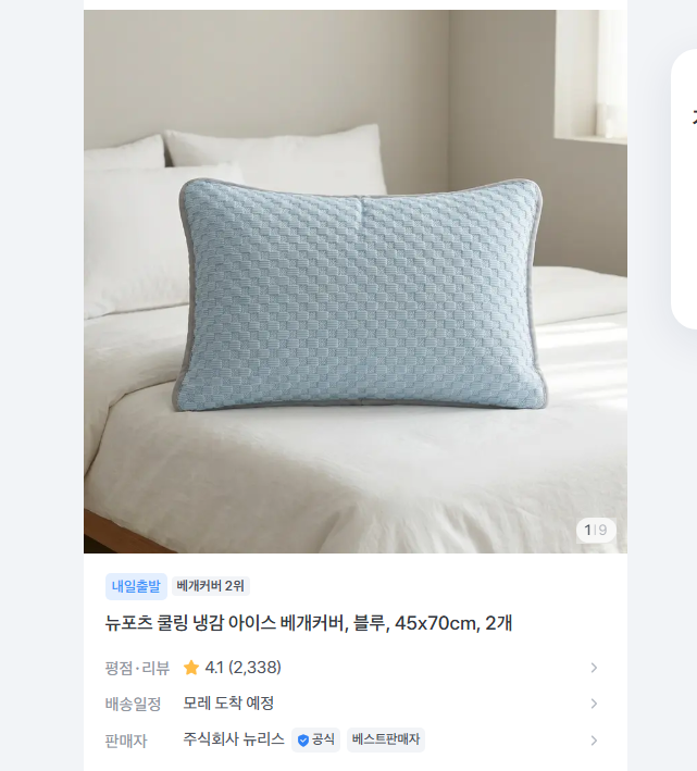 냉감 베개커버 블루 45 x 70cm, 2개 5200원 무배