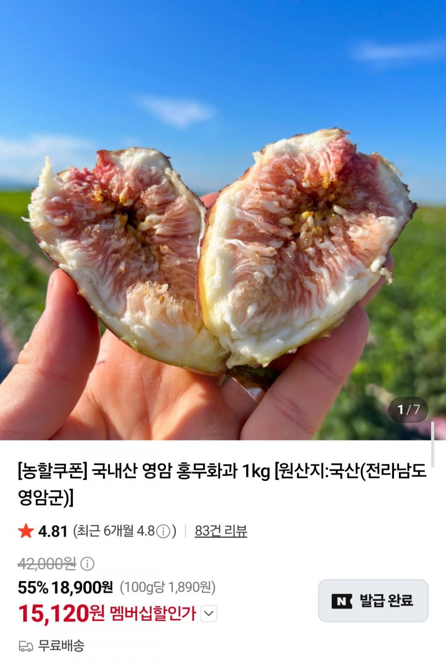 국내산 영암 홍무화과 1kg (15,120원/무료배송)
