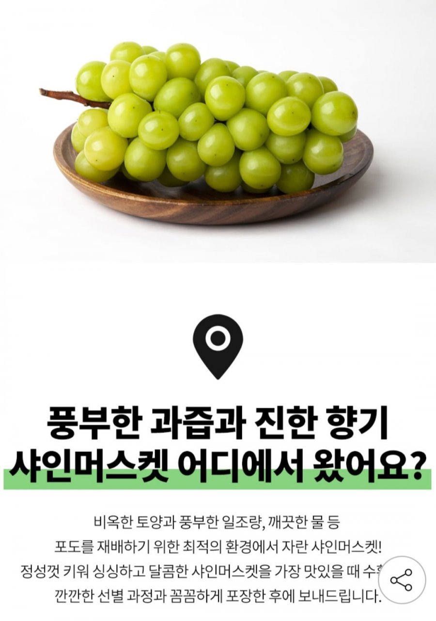 산지직송 고당도 샤인머스켓 2kg 3~4수 (12,800원/무료배송)