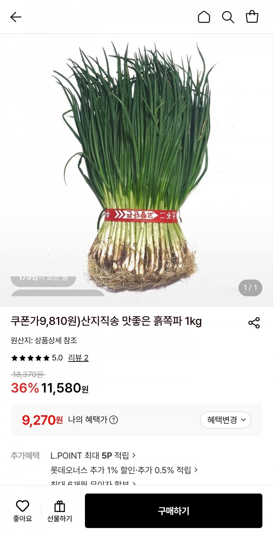 산지직송 쪽파 1kg (9,270원/무료)