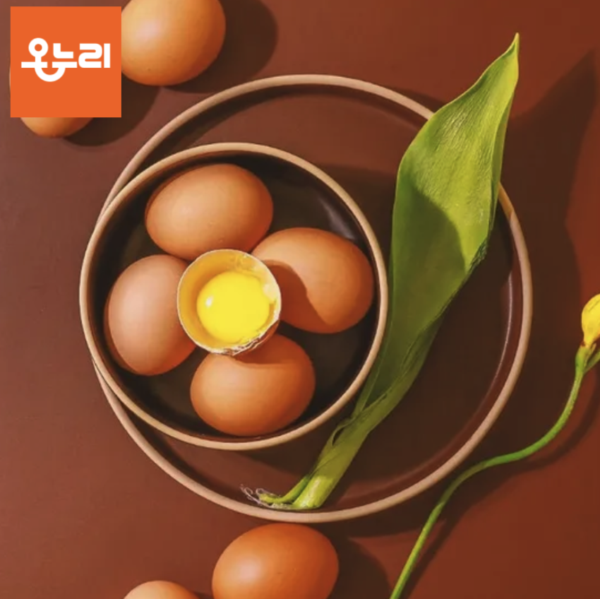 국내산 난각번호 1번 방사 유정란 20구 파손보장 6,890원