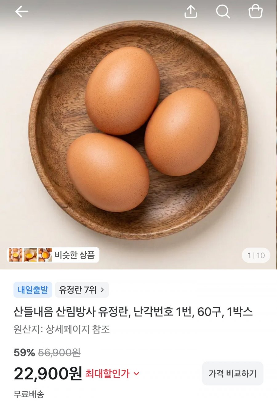 산림방사 난각번호 1번 무항생제 유정란 60구 (22,900원/무료)