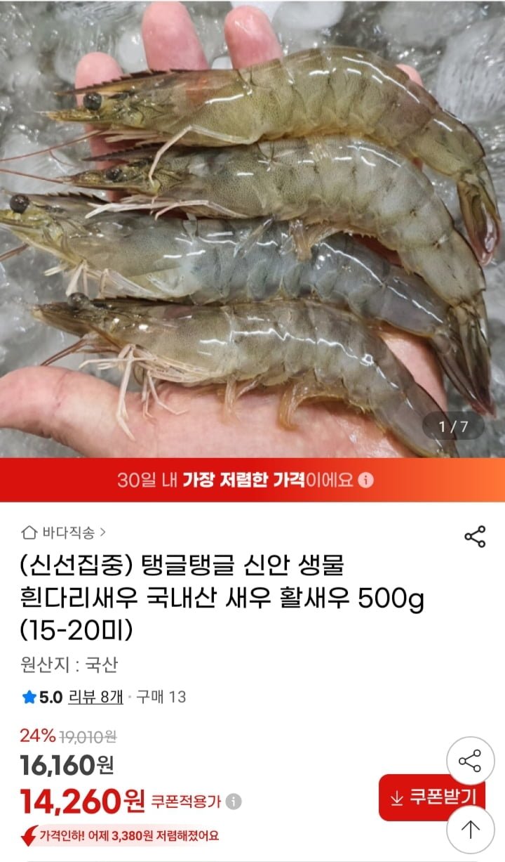 국내산 생물 흰다리 활새우 500g (14,260원/무배)