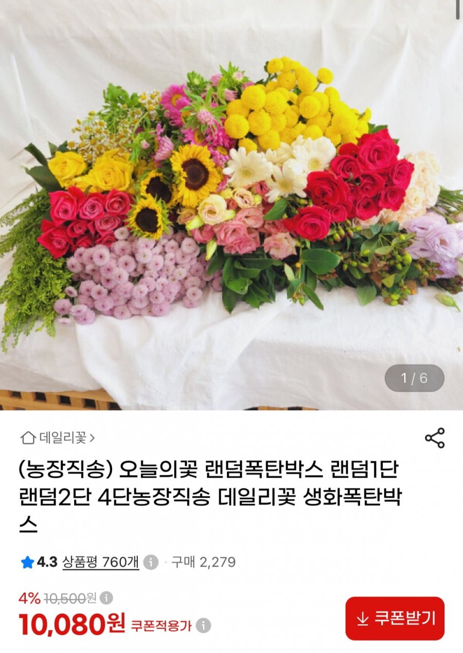 랜덤꽃 5~10송이 (10,080원/무료)