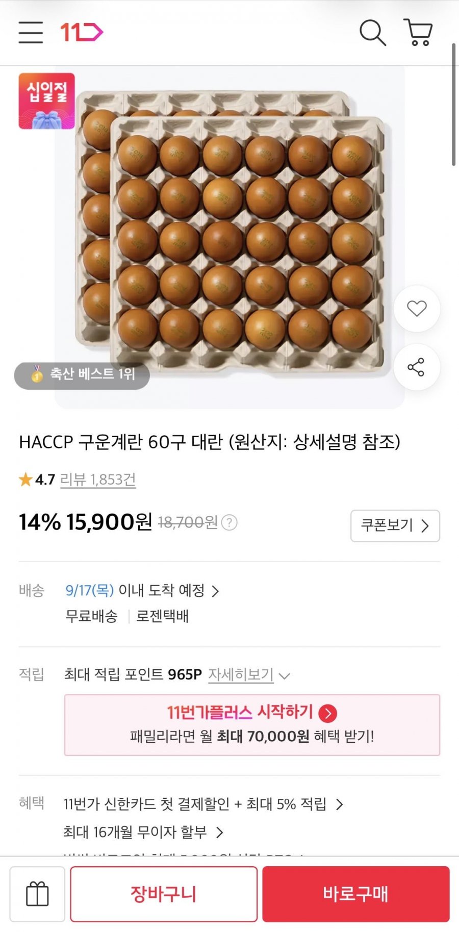 구운계란 60구 대란 (15,900원/무료)