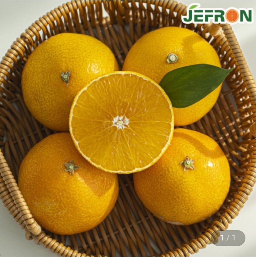 황금향 2kg 중소과 (11,500원/무료배송)