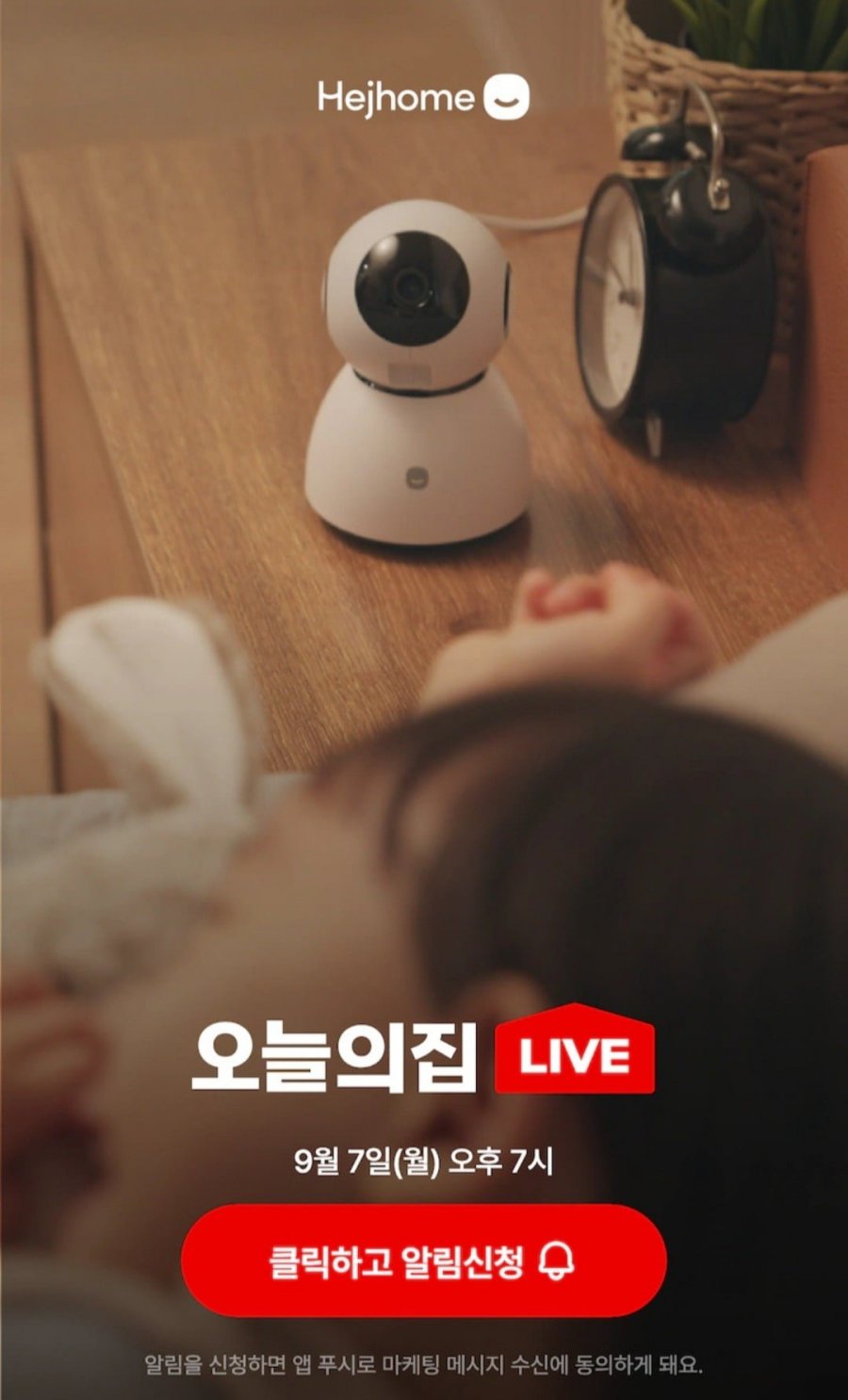 헤이홈 1+1 홈카메라 1세대 PRO 5MP + 헤이캣 커버 2개 증정 (125,933원/무료)