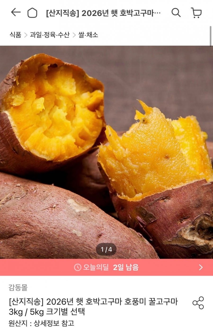 26년 호박고구마 3kg 특/상 (11,610원/무료)