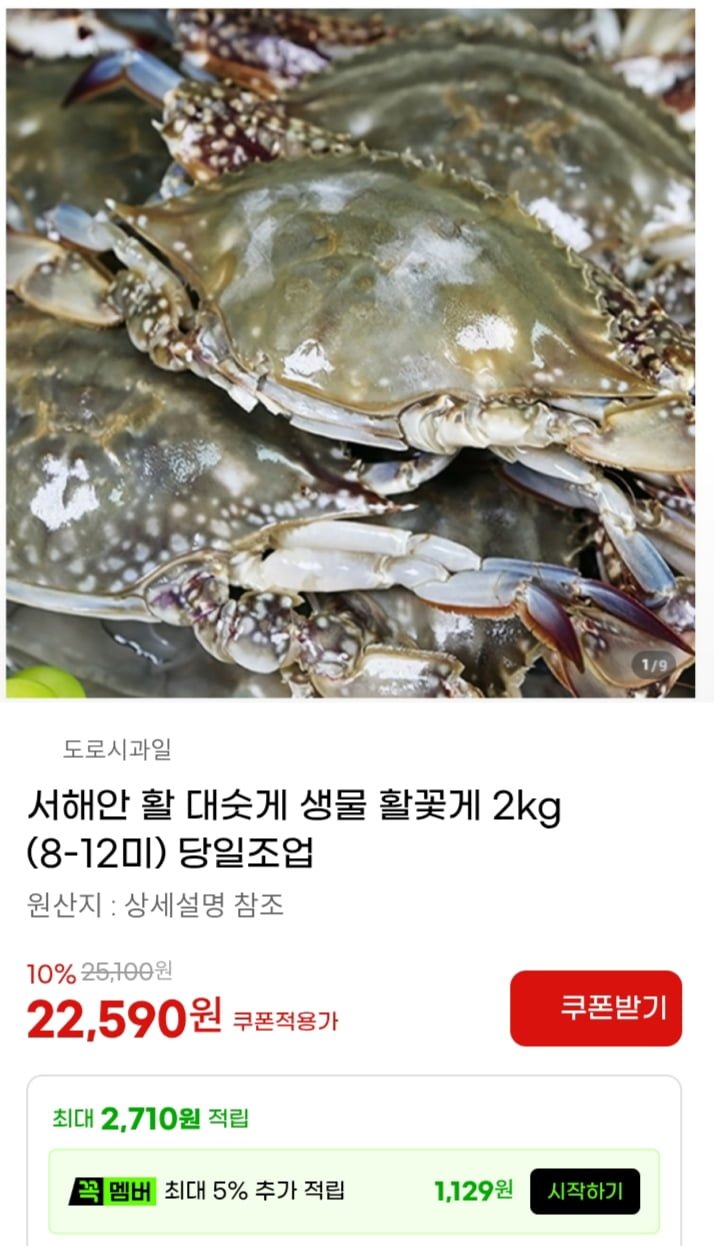 서해안 활 대숫게 생물 활꽃게 2kg (8-12미) 당일조업(22,590/무배)