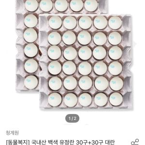 국내산 동물복지 유정란 대란 60구 (16,920원 / 무료) - 특가