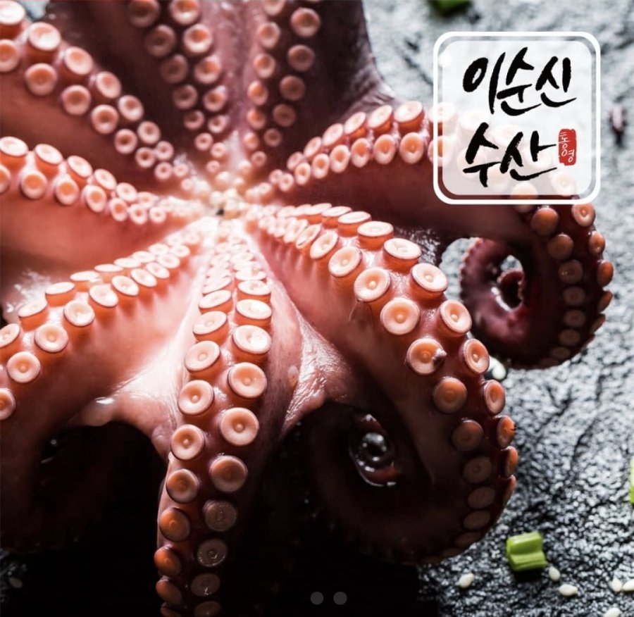 돌문어 1kg 2마리 (13,740원/무료)