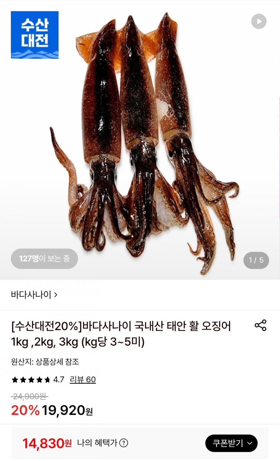 국내산 태안 활 오징어 1kg (3~5미) (14,830원/무료)