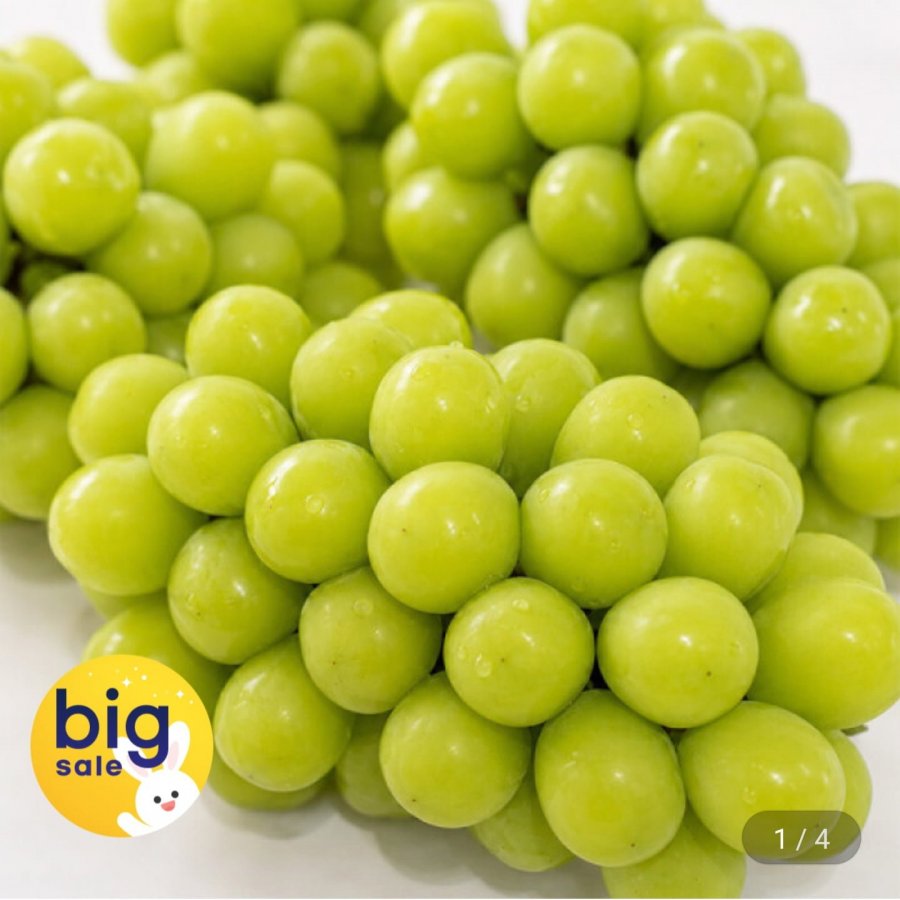 김천 16brix 하우스 샤인머스켓 2kg 4-5수(8,800원/무료)