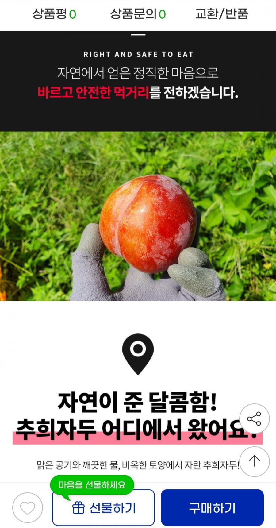 추희자두 대과 3kg 100g급 30개 내외 (23,500원/무배)