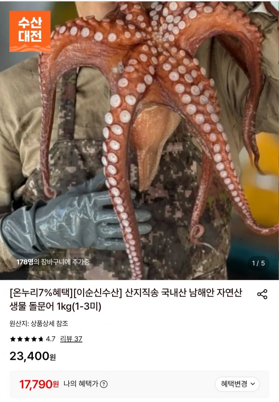 돌문어 1kg (1-3미) (17,790원/무료)