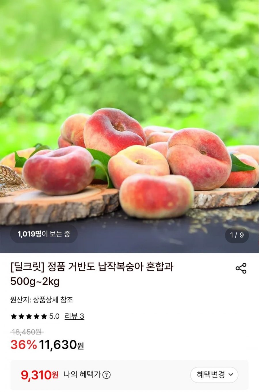 거반도 납작복숭아 500g (9,310원/무료)