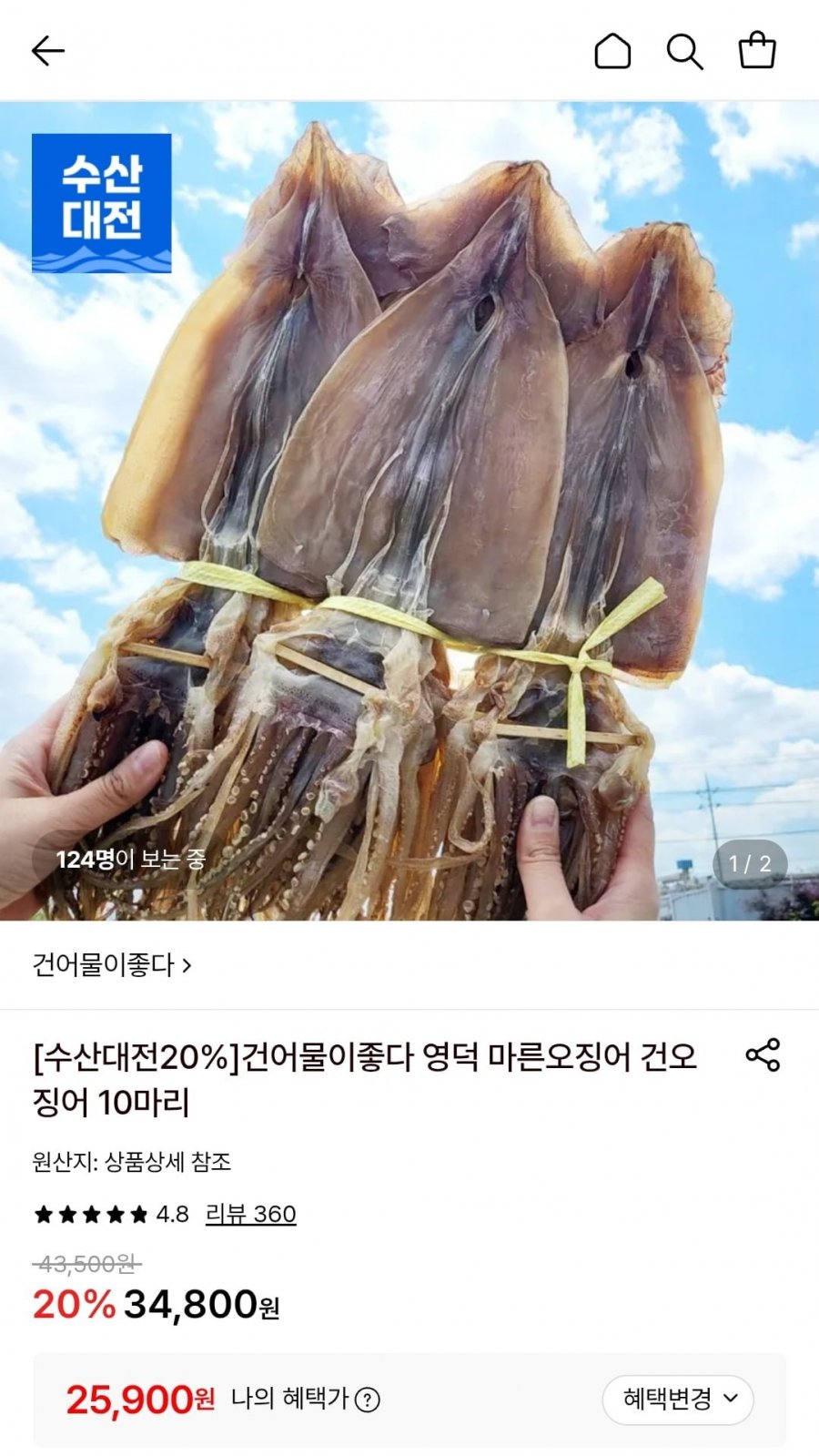 영덕 마른 오징어 10미 (25,900원/무료)
