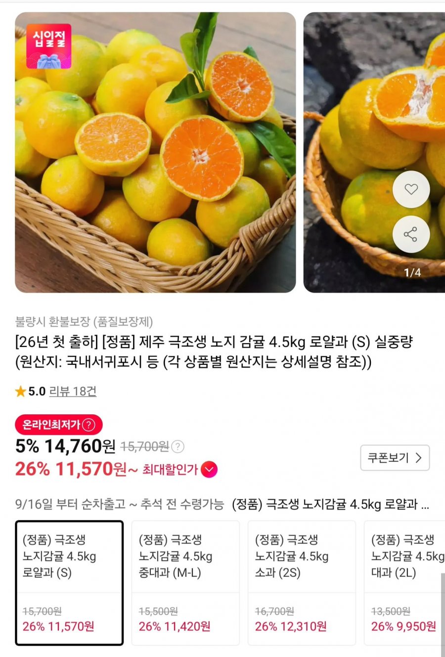 제주 극조생 노지감귤 4.5kg 로얄과 S (12,990원/무료)