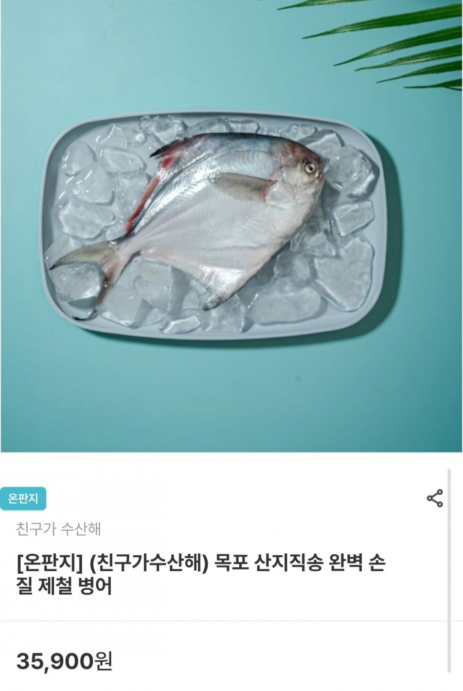 목포 산지직송 손질 병어 200g 이상 x 2마리 (17,940원/무배)
