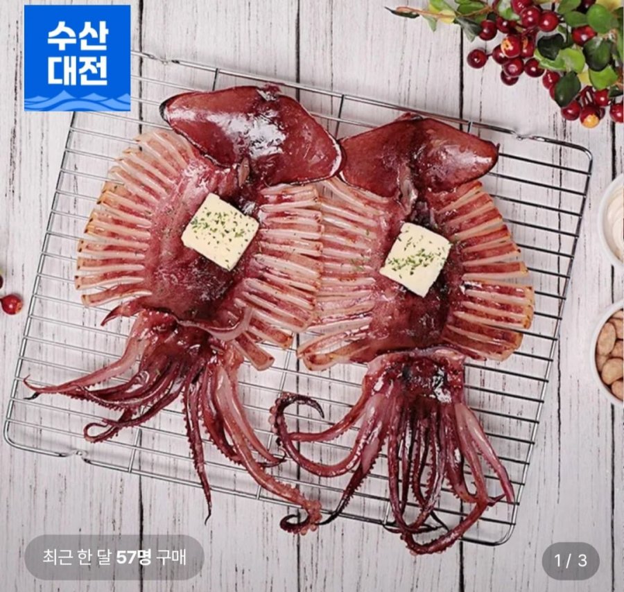 반건조 오징어 5마리(HACCP 인증) (10,570원/무료)