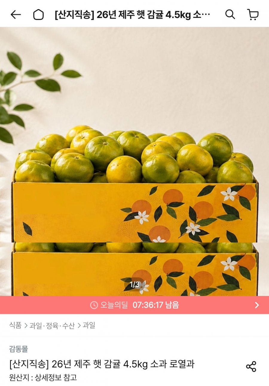 26년 제주 햇 감귤 소과 4.5kg (11,924원/무료)