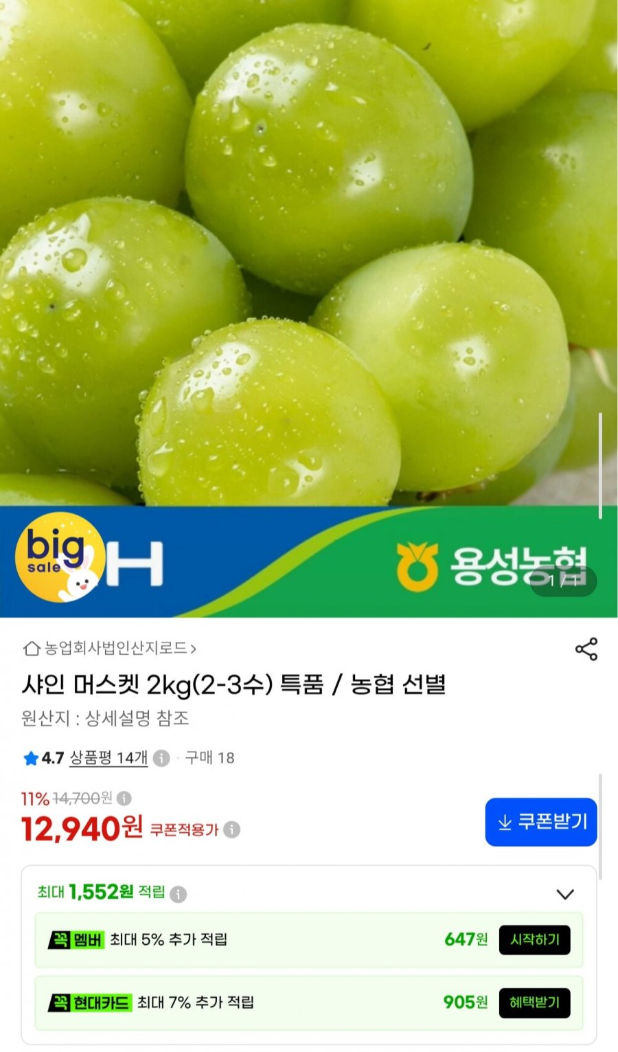농협 선별 샤인머스켓 특품 2kg 2-3수 (12,940원/무료)