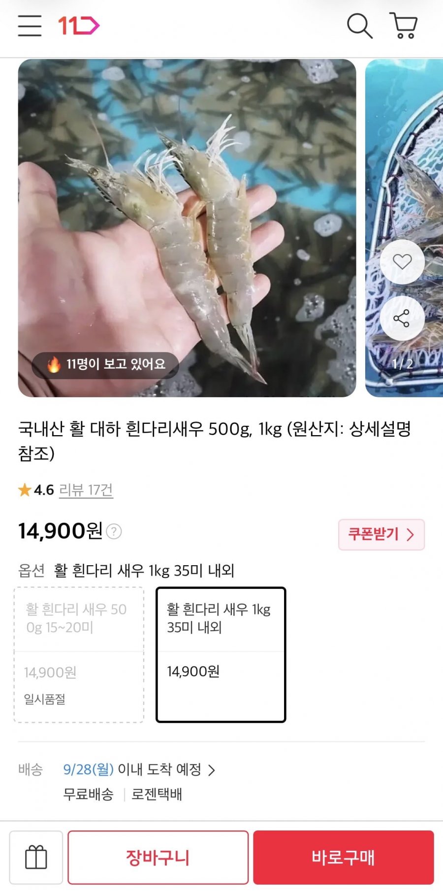 국내산 활 대하 흰다리새우 1kg 35미 내외 (14,900원/무료)