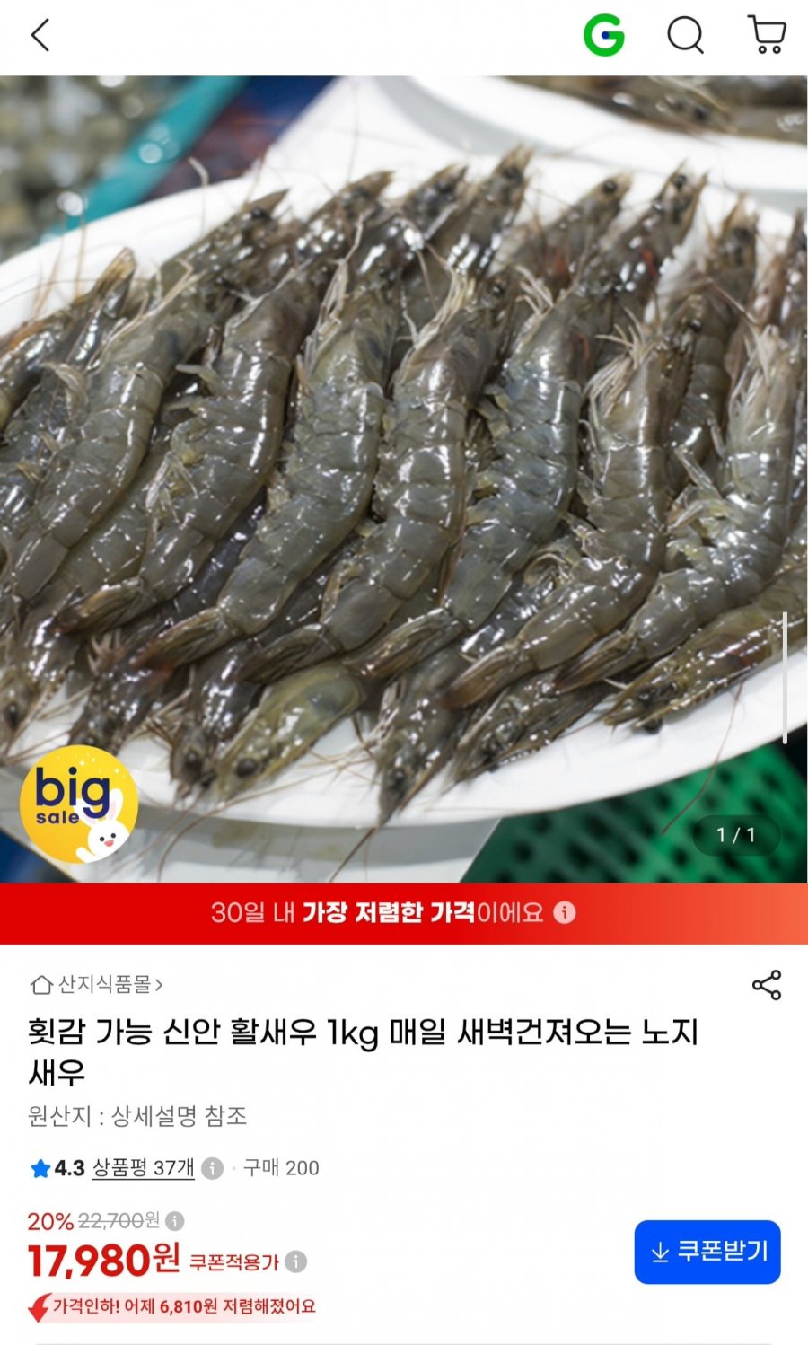 횟감 가능 신안 활새우 1kg (17,980원/무료)