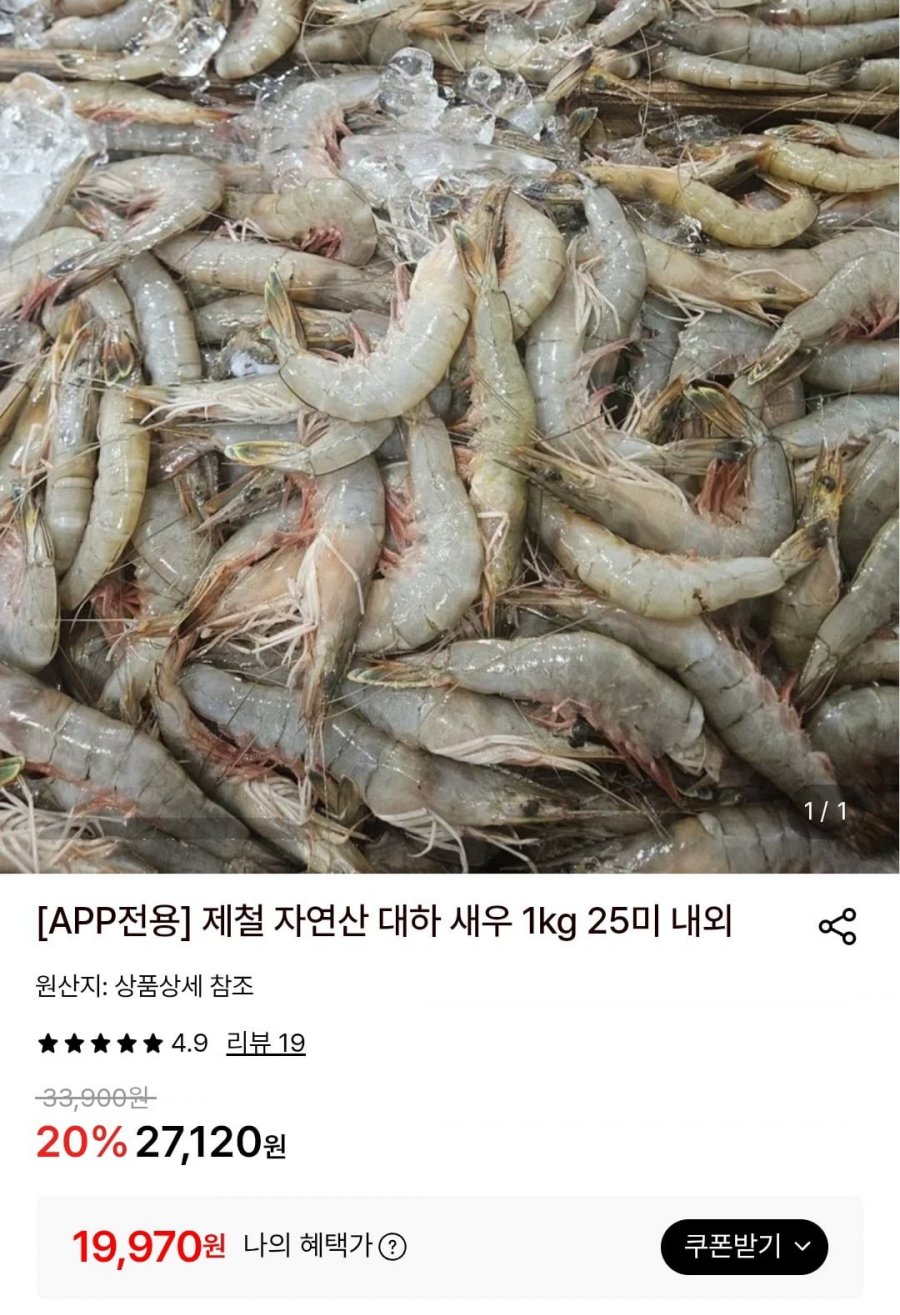 서해 자연산 대하 새우 1kg 25미 내외 (토스19,970원/무배)