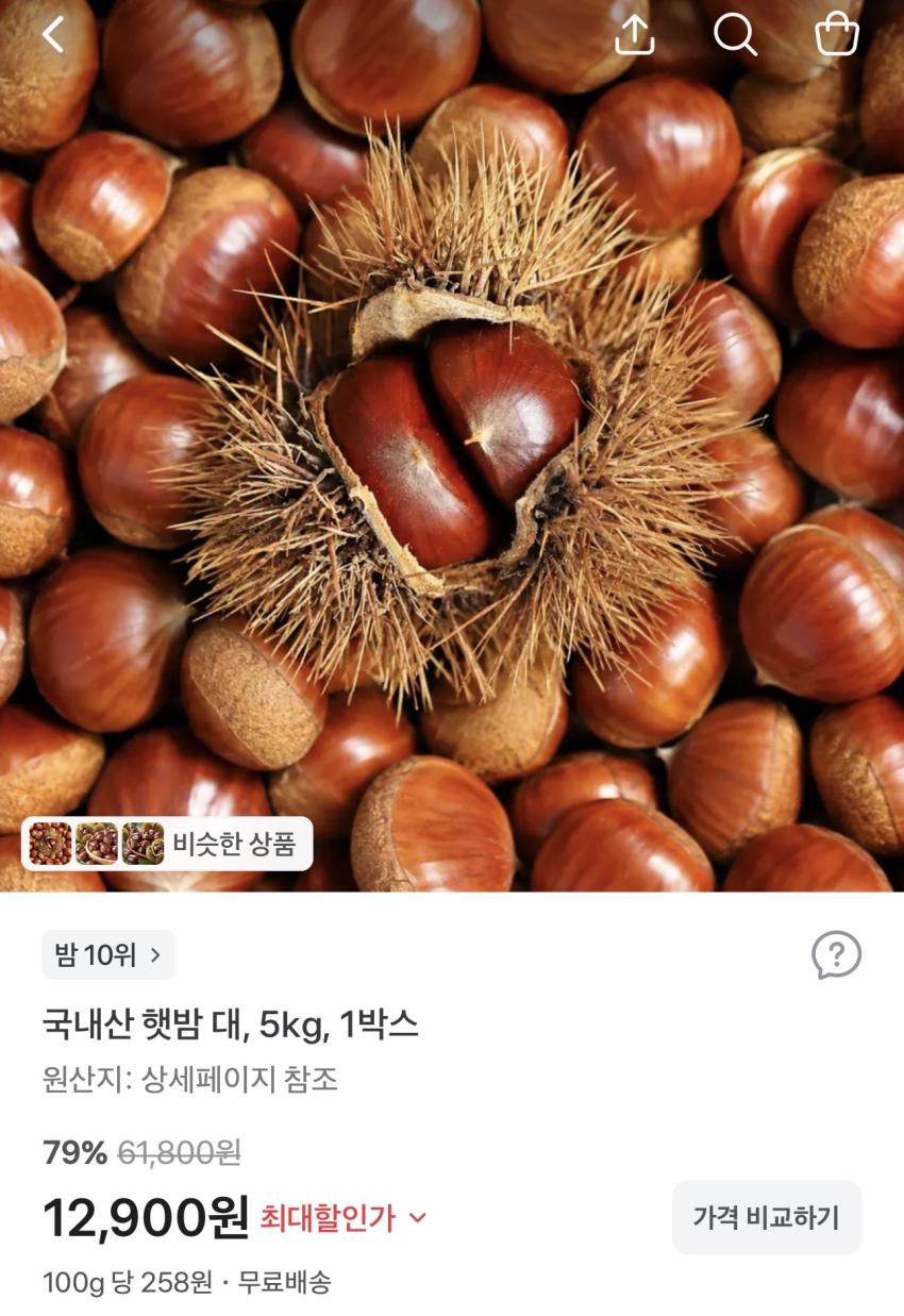 국내산 햇밤 대 5kg 12,900원
