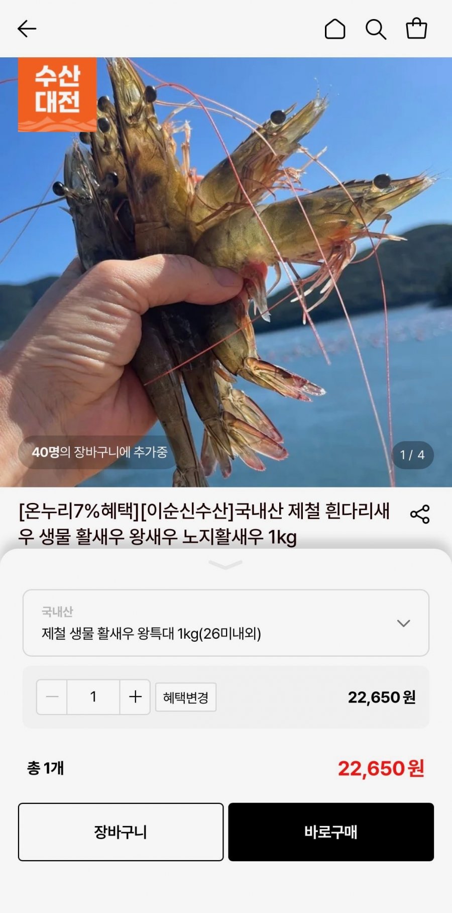 제철 생물 활새우 왕특대 1kg 26미내외 (22,650원/무료)
