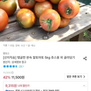 완숙 찰토마토 5kg 쥬스용 (9,315원 / 무료) - 특가