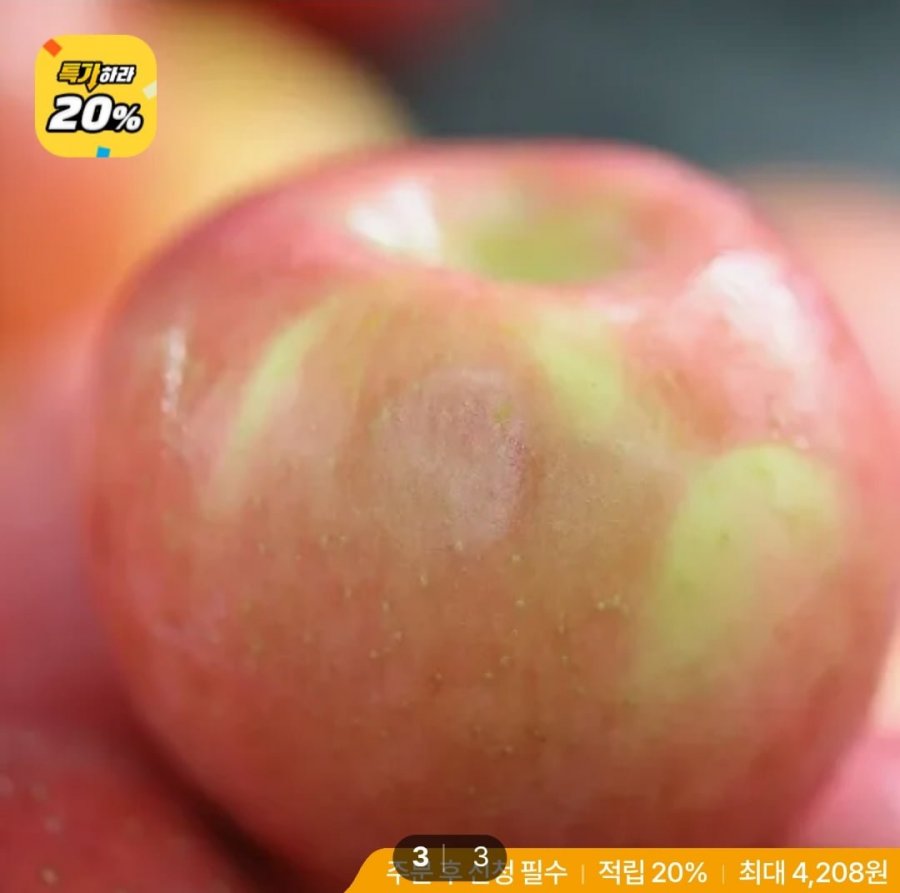 햇가을사과 9kg (21,040원/무료)