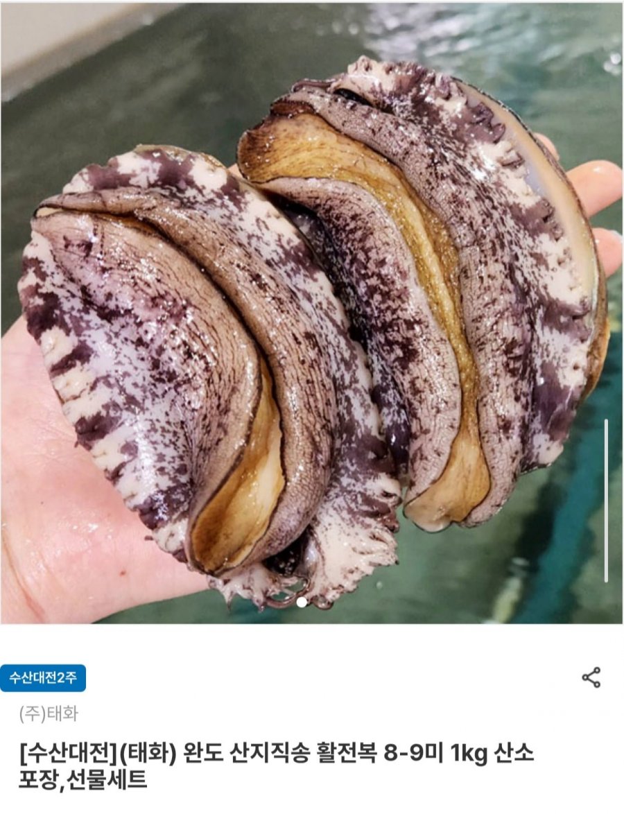 완도 산지직송 활전복 1kg 8~9미 (21,770원/무료)