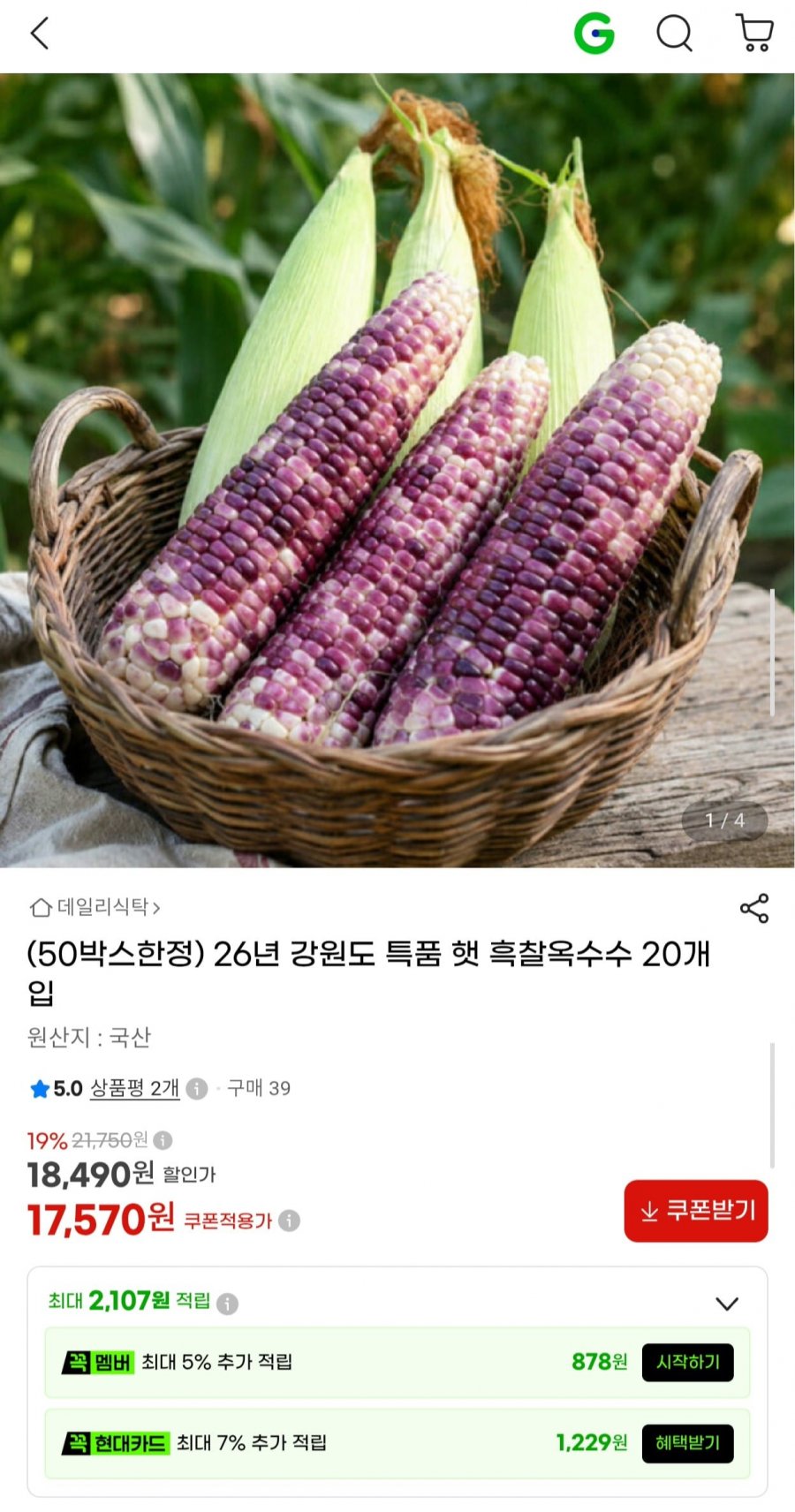 26년 강원도 특품 햇 흑찰옥수수 20개 (17,570원/무료)