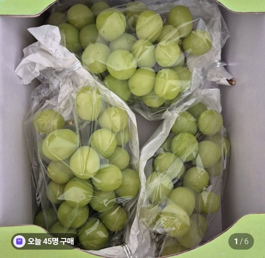 국산 샤인머스켓 1.5kg (10,400원/무료)