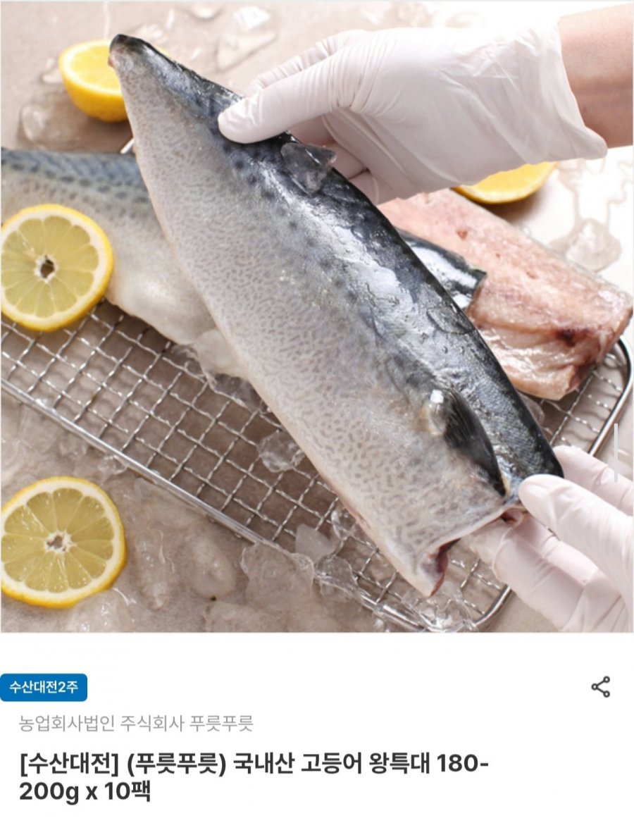 국내산 고등어 왕특대 180~200g 10팩 (18,130원/무료)