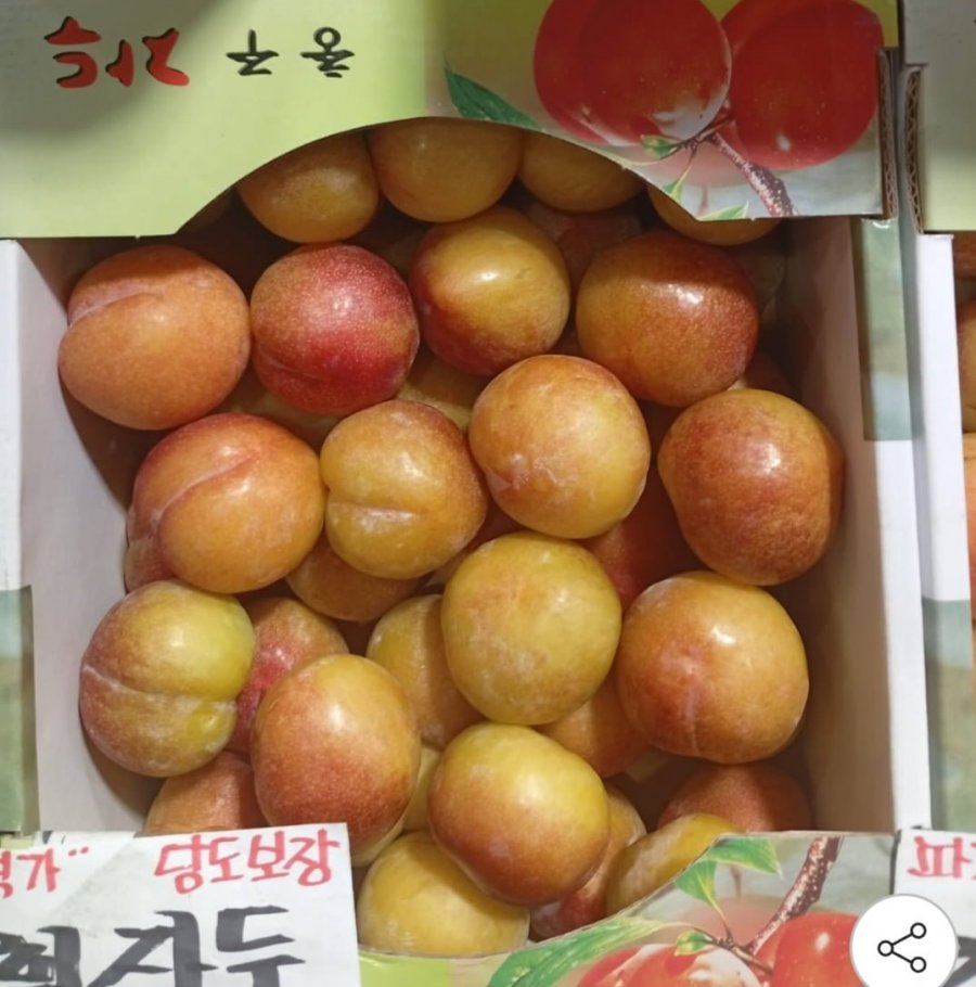 추희자두 대과 3kg 100g급 30개 내외 (18,910원/무배)