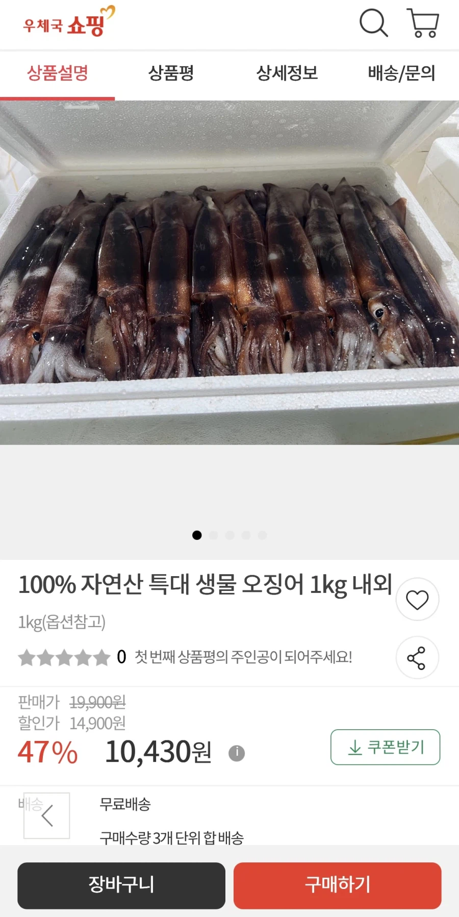 국내산 생물오징어 1kg(4~5미) (10,430원/무배)