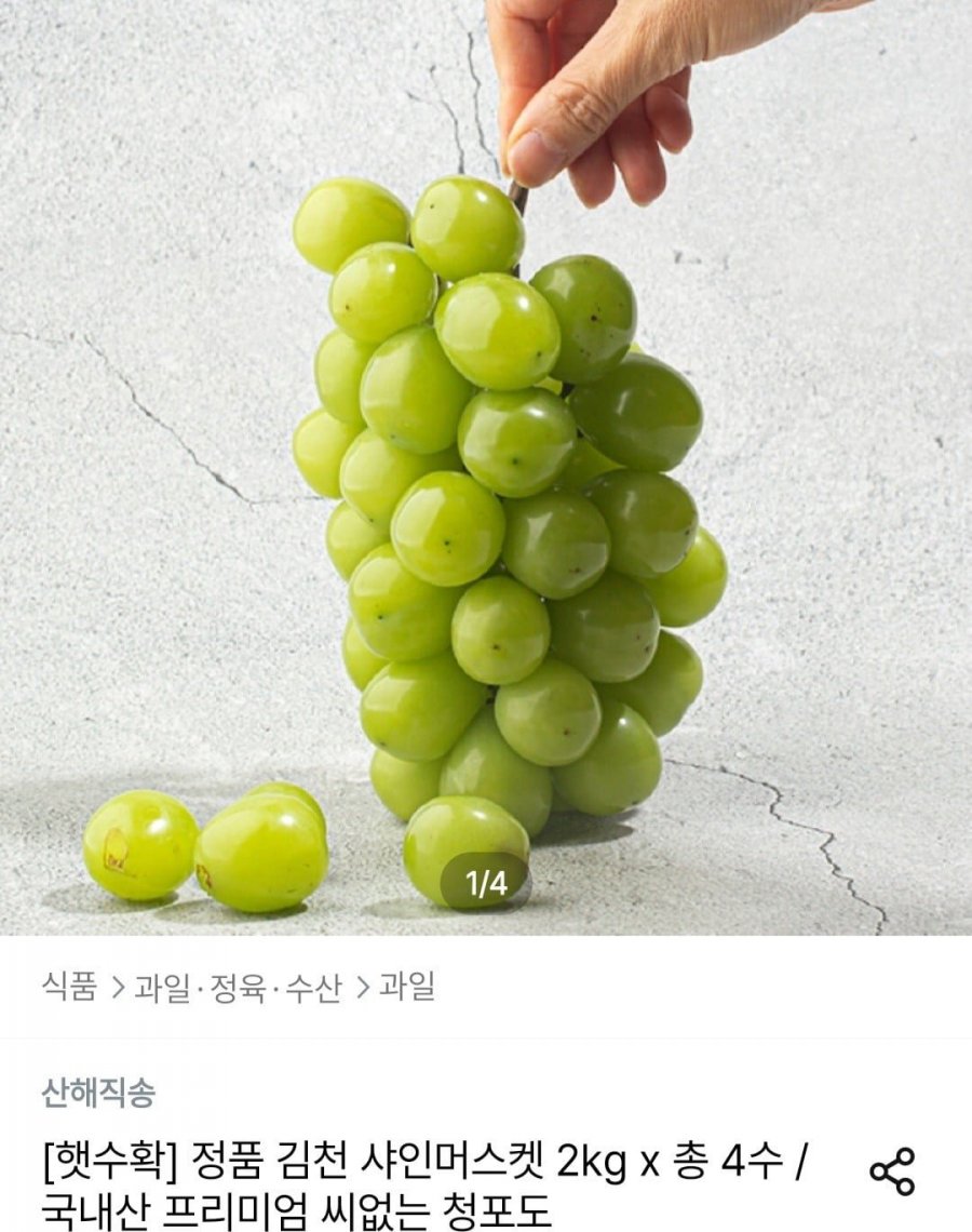 샤인머스켓 2kg x 총 4수 (8,991원/무료)
